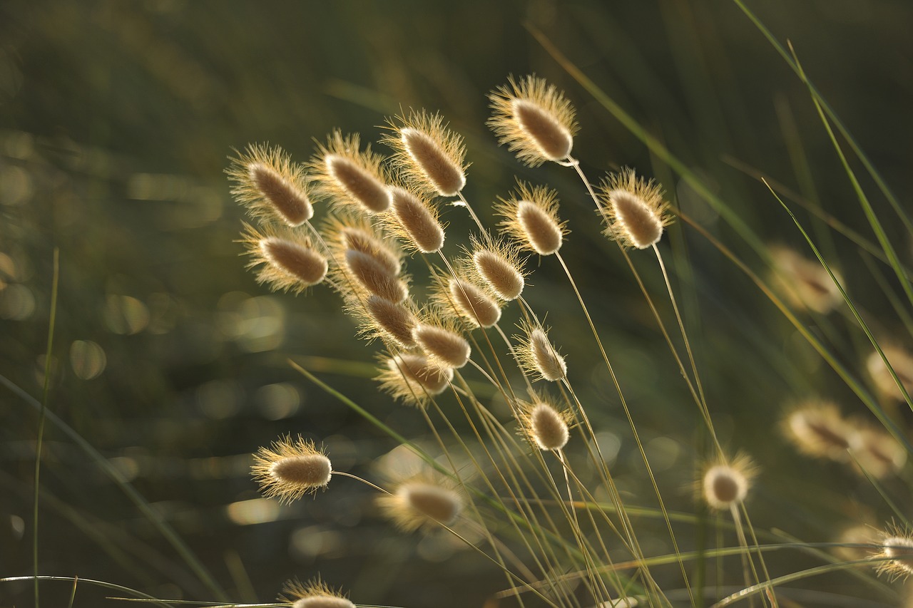 sõnumid ja märgid